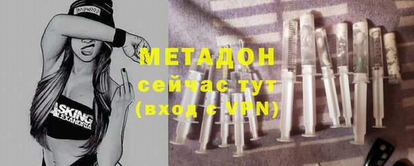 индика Арсеньев