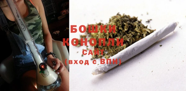 ПСИЛОЦИБИНОВЫЕ ГРИБЫ Аркадак
