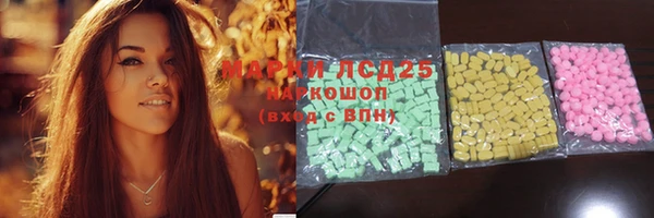 индика Арсеньев