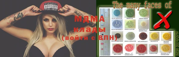 индика Арсеньев