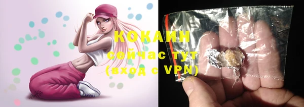 индика Арсеньев