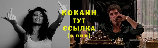 индика Арсеньев