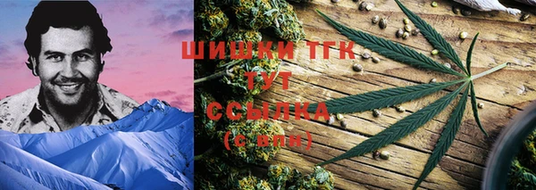 ПСИЛОЦИБИНОВЫЕ ГРИБЫ Аркадак