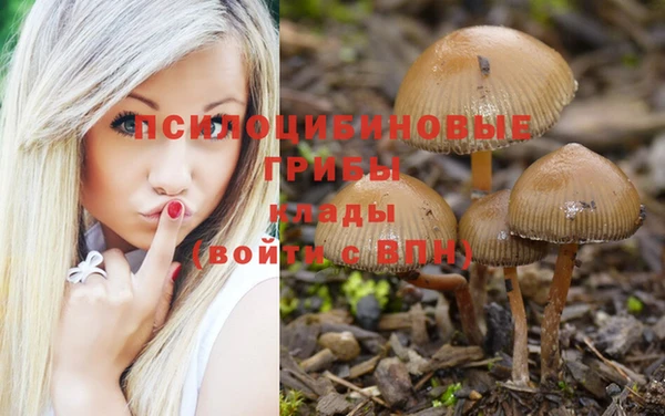 ПСИЛОЦИБИНОВЫЕ ГРИБЫ Аркадак