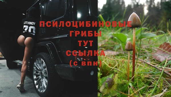 ПСИЛОЦИБИНОВЫЕ ГРИБЫ Аркадак
