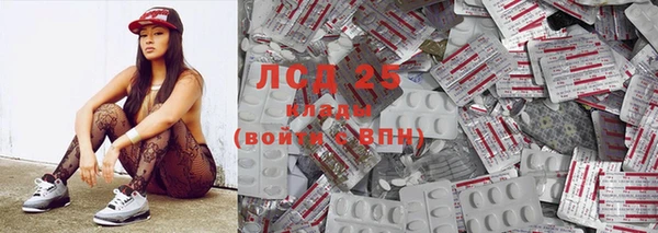 ПСИЛОЦИБИНОВЫЕ ГРИБЫ Аркадак