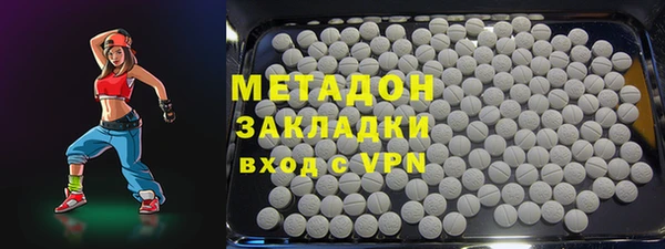 индика Арсеньев