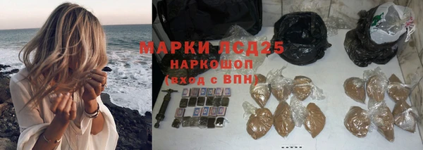 ПСИЛОЦИБИНОВЫЕ ГРИБЫ Аркадак